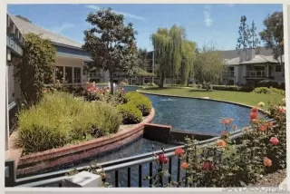 Photo #3: 250036284 Listing 