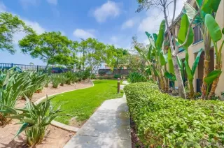 Photo #2: 250036491 Listing 