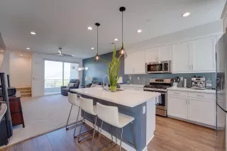 Photo #1: 250036500 Listing 