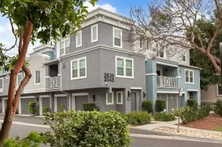 Photo #1: 250036568 Listing