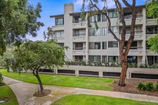 Photo #2: 250036626 Listing 