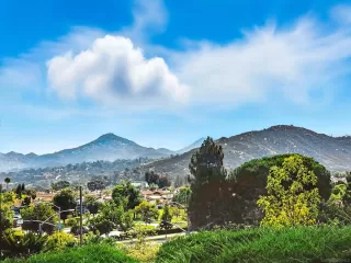 Photo #5: 250036679 Listing 