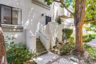 Photo #1: 250036690 Listing 