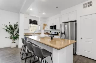 Photo #1: 250036701 Listing 