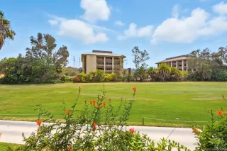 Photo #1: 250036738 Listing