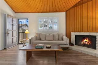 Photo #1: 250036877 Listing 