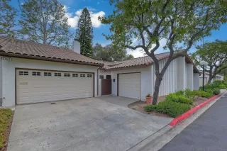 Photo #1: 250036960 Listing 