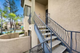 Photo #5: 250036970 Listing 