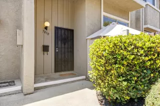 Photo #1: 250036991 Listing 