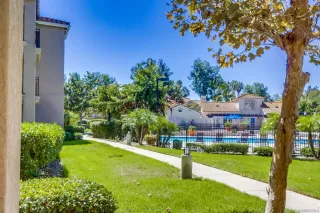 Photo #1: 250037010 Listing 