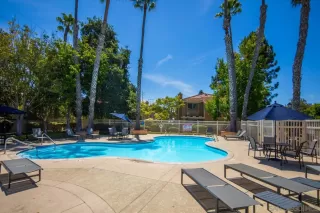 Photo #4: 250037020 Listing