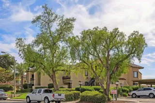 Photo #1: 250037171 Listing 