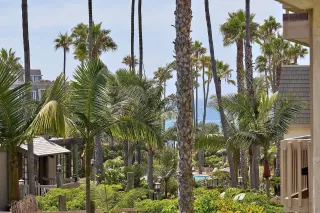 Photo #1: 250037193 Listing