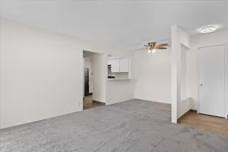 Photo #4: 250037194 Listing 