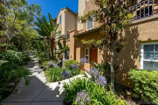 Photo #1: 250037293 Listing 