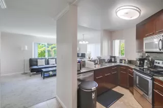 Photo #3: 250037335 Listing 