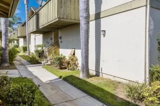 Photo #1: 250037417 Listing