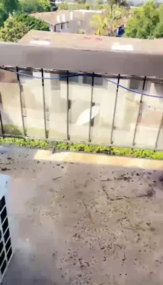 Photo #4: 250037503 Listing