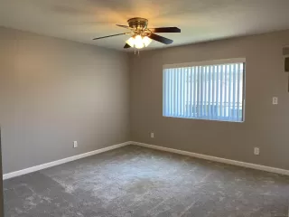 Photo #4: 250037524 Listing 