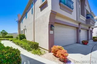 Photo #1: 250037534 Listing 