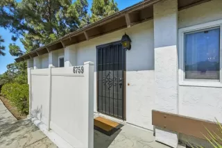 Photo #1: 250037542 Listing