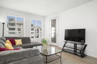 Photo #3: 250037573 Listing 