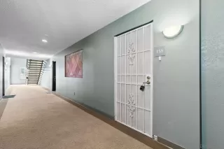 Photo #4: 250037608 Listing 