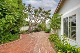 Photo #2: 250037684 Listing