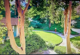 Photo #1: 250038049 Listing