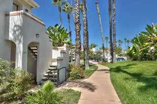 Photo #1: 250038060 Listing 