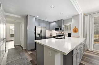 Photo #1: 250038078 Listing