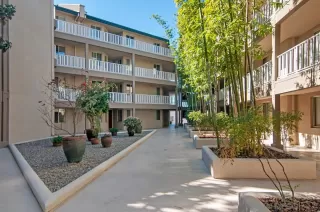 Photo #2: 250038098 Listing 