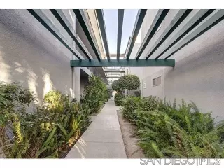 Photo #1: 250038122 Listing 