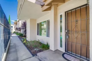 Photo #1: 250038184 Listing 