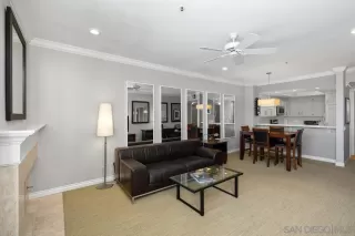 Photo #5: 250038201 Listing