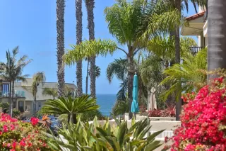 Photo #3: 250038217 Listing 