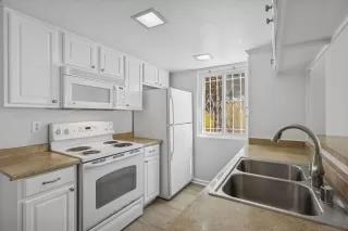 Photo #5: 250038220 Listing