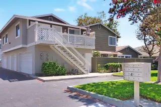 Photo #1: 250038257 Listing 