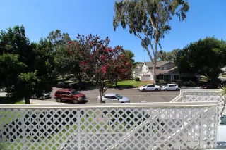 Photo #4: 250038257 Listing 