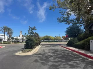 Photo #2: 250038409 Listing 