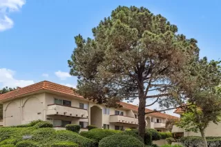 More Details about MLS # 250038446 : 8671 LAKE MURRAY BLVD UNIT 4