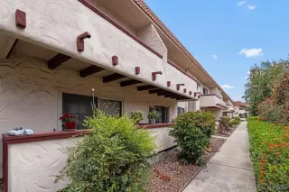 Photo #1: 250038446 Listing