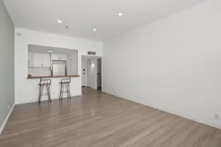 Photo #4: 250038496 Listing 