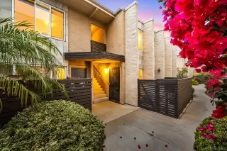 Photo #1: 250038509 Listing 