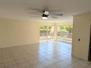 Photo #1: 250038542 Listing 