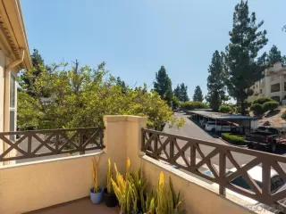 Photo #6: 250038565 Listing