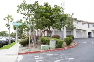 Photo #1: 250038591 Listing