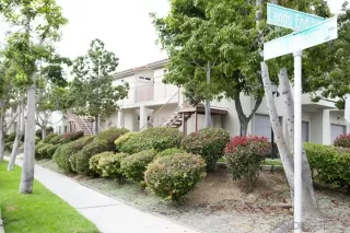 Photo #2: 250038591 Listing