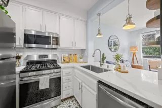 Photo #1: 250038753 Listing 