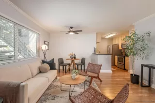 Photo #1: 250038771 Listing 